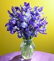 Iris Bouquet