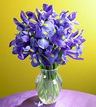 Iris Bouquet