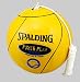 Sporting Goods : Spalding Power Play Tetherball (20315)