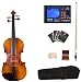 Cecilio CVA-500 15-Inch Ebony Fitted Solid Wood Viola