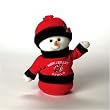 New Jersey Devils NHL Animated Dancing Snowman (9")