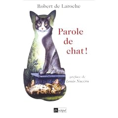 Parole de chat!