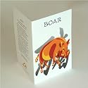Asian Zodiac (2-PACK) Greeting, Birthday, Gift Card Year of the Boar Born 1923 1935 1947 1959 1971 1983 1995 2007 2019