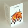 Asian Zodiac (2-PACK) Greeting, Birthday, Gift Card Year of the Boar Born 1923 1935 1947 1959 1971 1983 1995 2007 2019