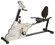 Fitnex R40 Recumbent Exercise Bike