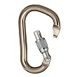 Black Diamond RockLock Screwgate Locking Carabiner: Mocha