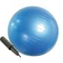 EGS(�C�[�W�[�G�X) �o�����X�{�[�� ���K�{�[�� �W���{�[�� 65cm �A���`�o�[�X�g�d�l �|���v�t��