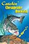 Catchin' Chesapeake Rockfish (Catchin' Chesapeake Rockfish, Volume 1)