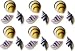 Sea Shells Cake Decorations Edible Hard Sugar Decorations
