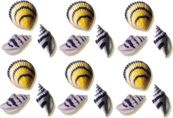 Sea Shells Cake Decorations Edible Hard Sugar Decorations by Cakes