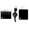 iSound 2-IN-1 Charger and Back-Up Battery for all iPod Models - Black (DGiPod-685)