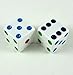 Multi-Color Pips White Dice 25mm (1in) D6 2ea Koplow Games