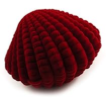 Burgundy Shell Box for Rings Burgundy Shell Box for Rings