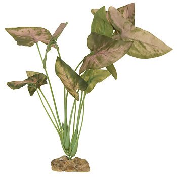 PETCO Silk Arrowhead Background Aquarium Plant