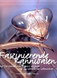 Faszinierende Kannibalen: Die Gottesanbeterin Mantis religiosa und ihr nat�rlicher Lebensraum - Monika Fellinger