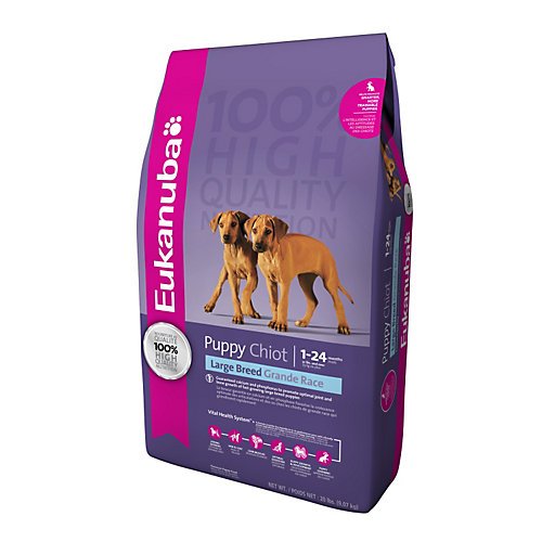 Eukanuba Large Breed Puppy Food 33 lbs Jayden Jolmes