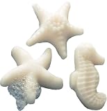 Tag Seaside Sea Glycerin Urchin Soaps, Vanilla Scented, Set of 3