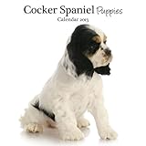 Magnet & Steel Cocker Puppy Mini Wall Calendar