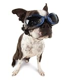Doggles ILS Small Chrome/Smoke