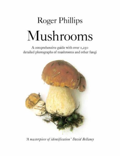 Childrens Toyshop  Third Party New : Mushrooms