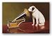 His Masters Voice by Anonymous 36