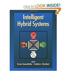 Intelligent Hybrid Systems