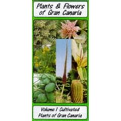 Plants and Flowers of Gran Canaria (Plants & Flowers Guide)
