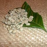 �g���}�����g���R�[�q�[ �i������200g�j�u����20%���ʒ��I�v-���̂܂�-�ɐ[����i���[�X�gNo.�V)