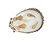 Safari Ltd. Hedgehog Figurine - Detailed 3.5
