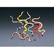 Realistic Vinyl Snakes 48 Count Toys Childrens Party Favor Safari Jungle Scavenger Hunt