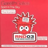 Spirit in the Sky [CD 2]