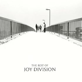 Love Will Tear Us Apart (Album Version)