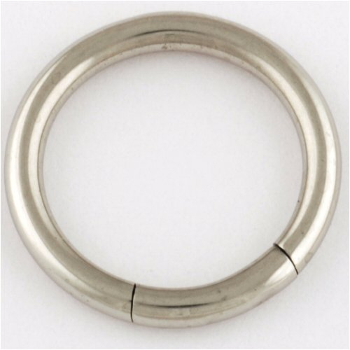 Stainless Steel Segment Ring: 14g 1/2