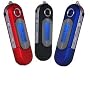 2Gb Audio Pro (Samsung Memory) USB2 MP3 Player with FM - Blue