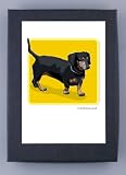 Paper Russells Black Dachshund Boxed Note Cards - Eco-Friendly from the USA