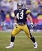 Troy Polamalu Pittsburgh Steelers 8x10 Photo