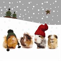 Christmas Gang Guinea Pigs Christmas Cards Pack