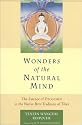 Wonders of the Natural Mind, New Edition: The Essence of Dzogchen in the Native Bon Tradition of Tibet