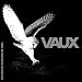 Vaux-Beyond Virtue Beyond Vice
