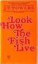 Look How the Fish Live