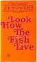 LOOK HOW THE FISH LIVE