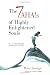 The 7 Ahas of Highly Enlightened Souls