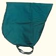 Intrepid International Saddle Carrying Bag