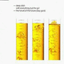 The Future of the Future (Stay Gold)