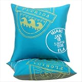 Florida Passport Pillow