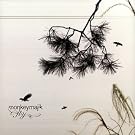 Fly