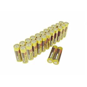 Alkaline AA batteries - 24 Pack