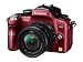 Panasonic �f�W�^�����J���� GH1 �����Y�L�b�g �R���t�H�[�g���b�h DMC-GH1A-R