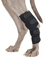 Back on Track Therapeutic Dog Rear Leg/Hock Brace (Pair) Large 8.75-Inch Length, 6.75 to 7.8-Inches Top Width, 5.1 to 6.25-Inches Bottom Width with 4 Adjustable Velcro Straps
