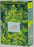 Green Lacewings: 1000 Eggs